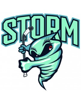 Storm hockey féminin